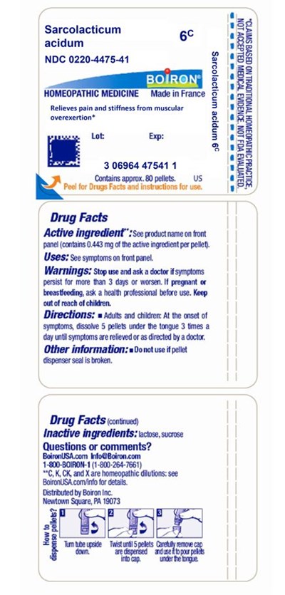 label - Sarcolacticum acidum 6C